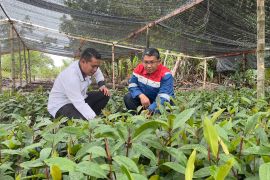 Pertamina Sei Pakning rintis program pengelolaan gambut