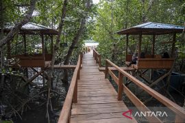 Ekowisata Mangrove Kelompok Tani Hutan Page 1 Small