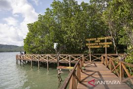 Ekowisata Mangrove Kelompok Tani Hutan Page 2 Small