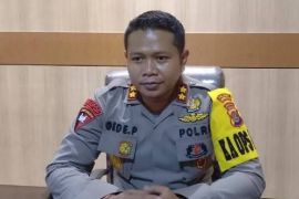 Tim gabungan tangkap DPO pelaku kasus mutilasi di Timika