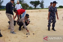 Polisi Natuna tindak penjual telur penyu