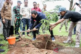 Pemkot Bogor bentuk Kampung Tematik Rambutan dukung urban farming