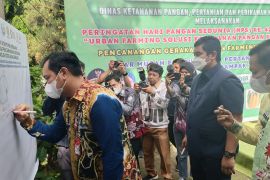 Urban farming solusi ketahanan pangan Kota Banjarbaru