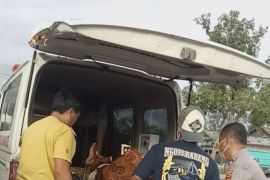 Happy Sihotang ditemukan tewas di dalam truk di Inhu