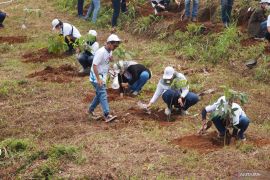 "Bakti BUMN" tanam 1.066 bibit pohon di zona merah bencana Bogor