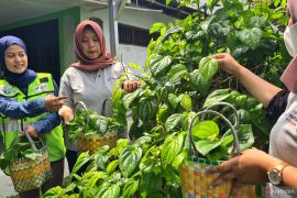 ​8 obat alami untuk atasi penyakit radang tenggorokan