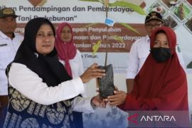 Disbun Kaltim giatkan pendampingan kelompok tani