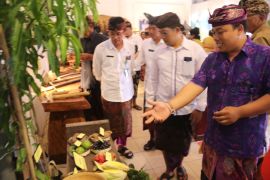 Pemkab Buleleng perkenalkan Subak kepada milenial