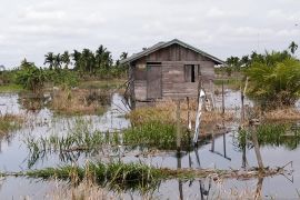 Air kiriman PT SAGM diduga sebabkan 1.000 hektare lahan pertanian masyarakat di Inhil terancam mati