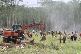 PTPN X optimalkan aset melalui penanaman sejumlah komoditas di Jember