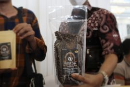 Festival Kopi Robusta Inklusif kembali digelar di Sumba