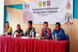 Pemkab Barut siap bantu petani  ikut peremajaan kelapa sawit