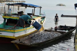 Pemkab Bombana optimistis produksi perikanan tangkap  capai 29 ribu ton