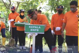 770 bibit pohon ditanam pada  peringatan PRB di Kaltim