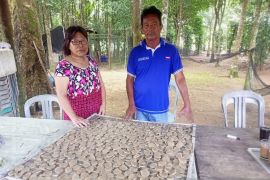 Pemasaran Kemplang Tjhai Mau Chin Makin Luas Setelah Jadi Mitra Binaan PT Timah Tbk