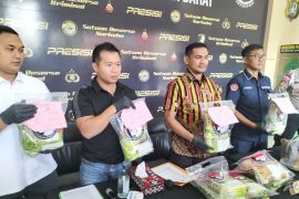 Terbongkar sabu siap edar yang dikubur di halaman rumah