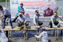 Gubernur Sulsel bersama pelajar tanam 35.300 batang mangrove serentak