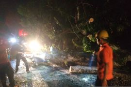 BPBD Padang Pariaman keluarkan imbauan  siaga bencana alam