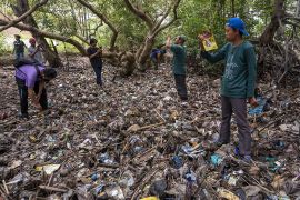 Identifikasi Merek Sampah Plastik di Kawasan Konservasi Mangrove Page 1 Small