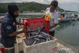 Keterlibatan BUMN di Industri Kelautan dan Perikanan  Page 2 Small