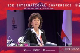 CGD beri lima saran tingkatkan inklusi keuangan Indonesia