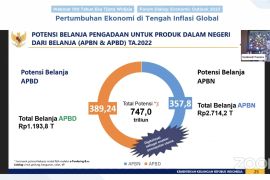 Wamenkeu dorong anggaran Rp747 triliun APBN-APBD untuk belanja produk dalam negeri