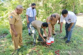 Sekolah di Biak gunakan perpaduan kurikulum 2013 dengan merdeka belajar