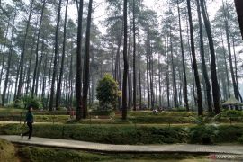 Pemkab Karawang siapkan anggaran Rp1,9 miliar untuk bangun RTH Rengasdengklok