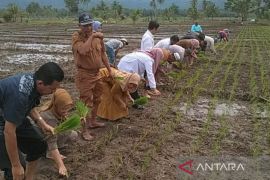 Kelompok tani mulai tanam benih bantuan HKTI Tapsel