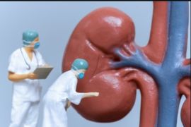 IDAI telusuri temuan satu kasus gagal ginjal akut misterius pada anak usia delapan bulan di Banyumas