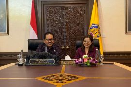 Wagub Bali sebut wisata kesehatan model pariwisata berkelanjutan