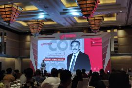 Audit tata kelola timah diharapkan jaga nama baik industri tambang RI