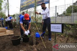 Pelindo dan STTAL tanam ratusan pohon bambu