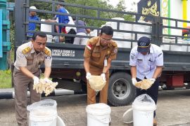 Geliat ekspor pertanian melalui PLBN Kalbar