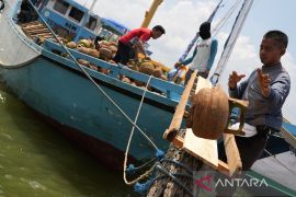 SUPLAI ELPIJI 3 KG KE WILAYAH KEPULAUAN Page 1 Small