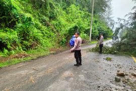 Longsor di Gunong Cincrang Aceh Jaya, warga di minta hati-hati