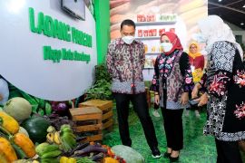 Program ladang pangan di Kota Surabaya raih penghargaan