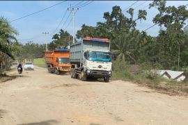 Banyak perusahaan sawit di bayar pajak ke pusat, Riau menanggung jalan rusak