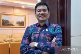 Sekda Babel: 3.848 honorer diusulkan ikut seleksi PPPK dan ASN di BKN