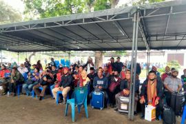 AMAN wilayah Batak:  Papua tanah yang damai