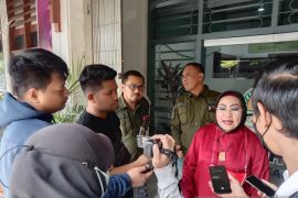 Dewan Lingkungan Makassar minta DLH selesaikan dugaan penebangan pohon ilegal