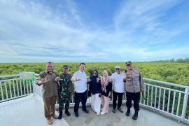 Pembangunan tower di hutan mangrove Langsa rampung 2023