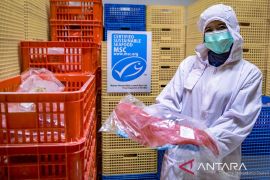 KKP dan MSC lanjutkan kerja sama perikanan berkelanjutan