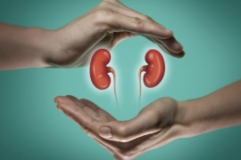 Dokter tak anjurkan pasien gangguan ginjal berobat alternatif