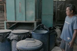 PLN bantu kelompok ternak di Kota Mataram manfaatkan limbah sayuran