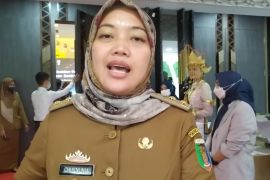 Wagub Lampung: Cari alternatif pengganti obat sirop saat anak demam