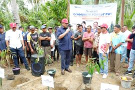 Pupuk Kaltim target tanam 68 ribu bibit di Gorontalo perluas program Community Forest
