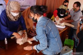 Vaksinasi penting untuk kesehatan binatang piaraan