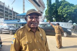 Dinkes Papua: RS teliti periksa gejala gangguan ginjal akut