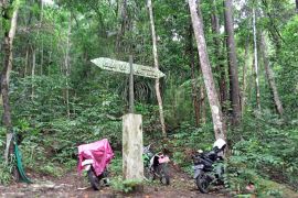 Dinas Kehutanan Sulsel perketat pengawasan  berbasis kemitraan